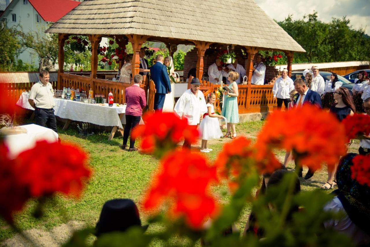 Pensiunea Agroturistica Casa Pribegilor Bréb Kültér fotó