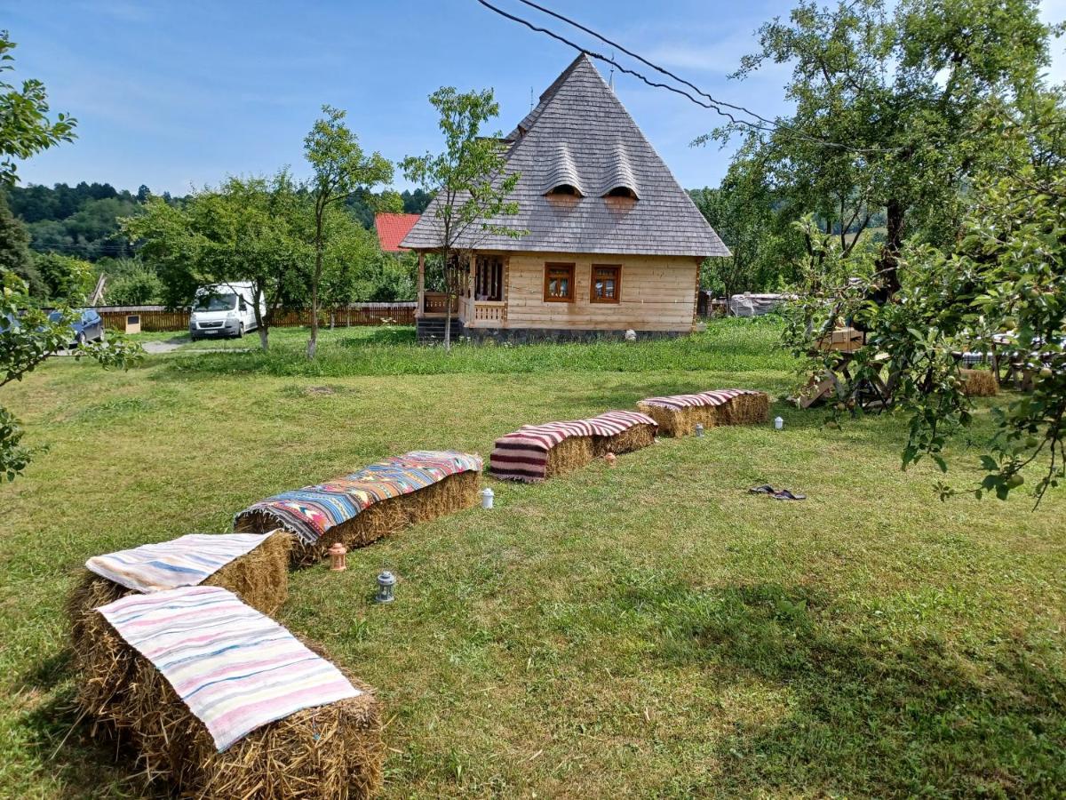 Pensiunea Agroturistica Casa Pribegilor Bréb Kültér fotó
