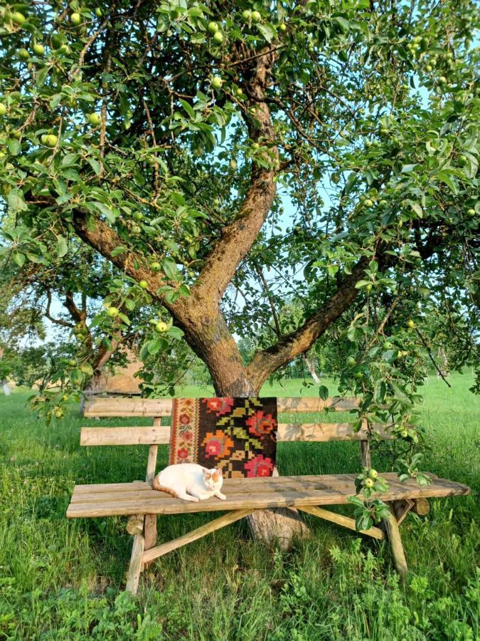 Pensiunea Agroturistica Casa Pribegilor Bréb Kültér fotó