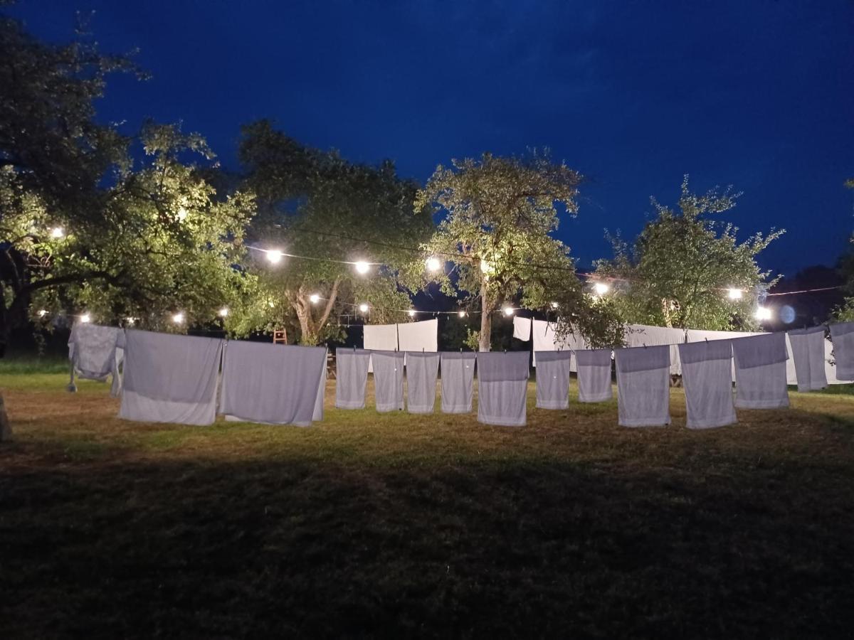 Pensiunea Agroturistica Casa Pribegilor Bréb Kültér fotó