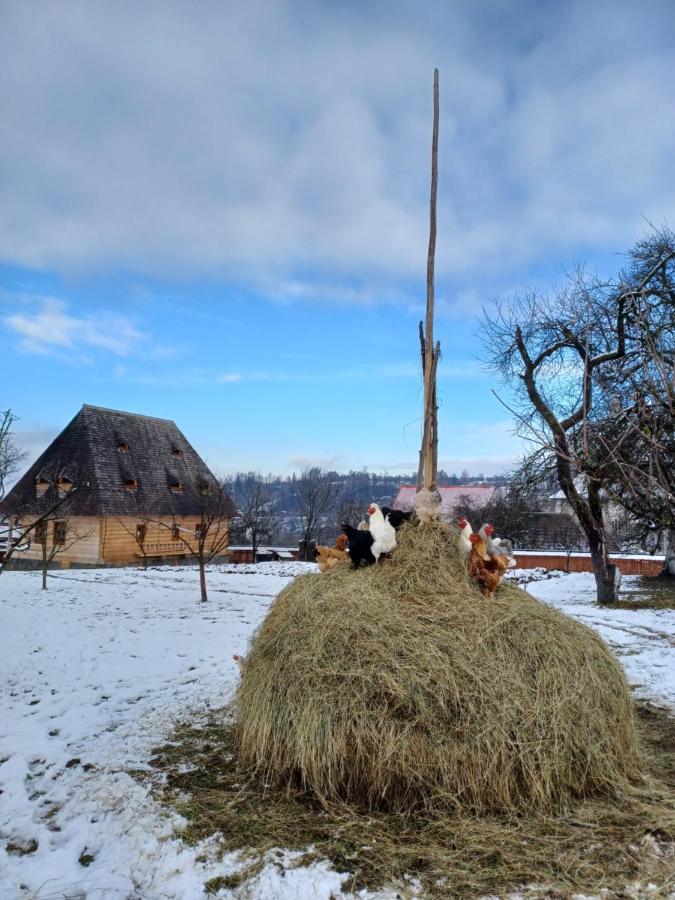 Pensiunea Agroturistica Casa Pribegilor Bréb Kültér fotó