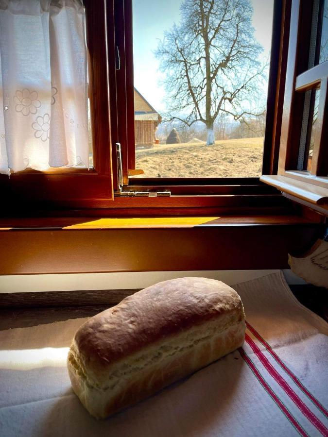 Pensiunea Agroturistica Casa Pribegilor Bréb Kültér fotó