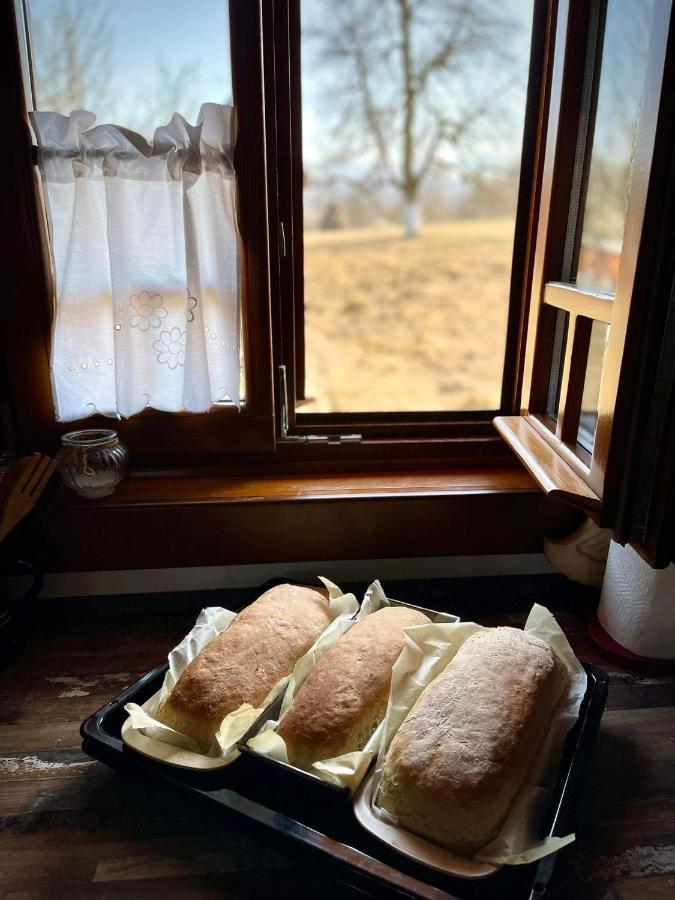 Pensiunea Agroturistica Casa Pribegilor Bréb Kültér fotó